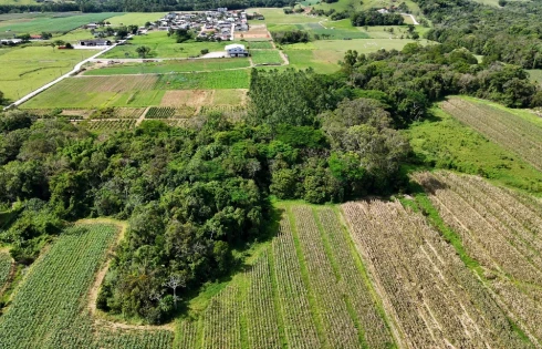 Terreno em Sul do Rio, Santo Amaro da Imperatriz