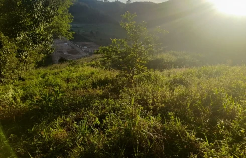 Terreno em Rio Branco, São Pedro de Alcântara