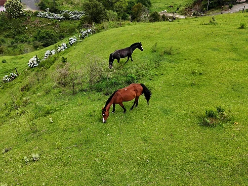 Sítio em Mato Francês, Rancho Queimado