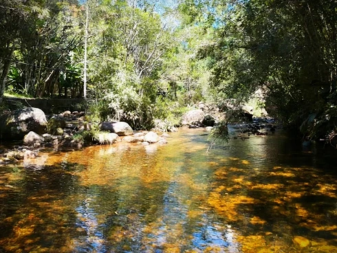 Sítio em Vargem do Braço, Santo Amaro da Imperatriz