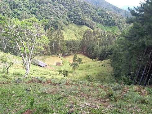 Terreno