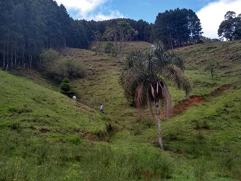Terreno