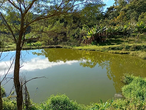 Sítio em Canto dos Horr, Aguas Mornas