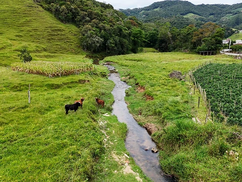 Sítio em Santa Isabel, Águas Mornas
