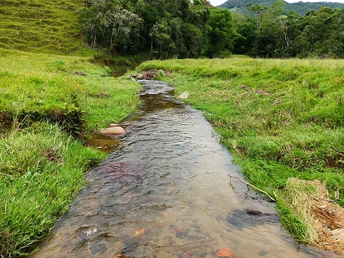 Sítio em Santa Isabel, Águas Mornas