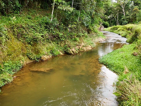 Sítio em Santa Isabel, Águas Mornas