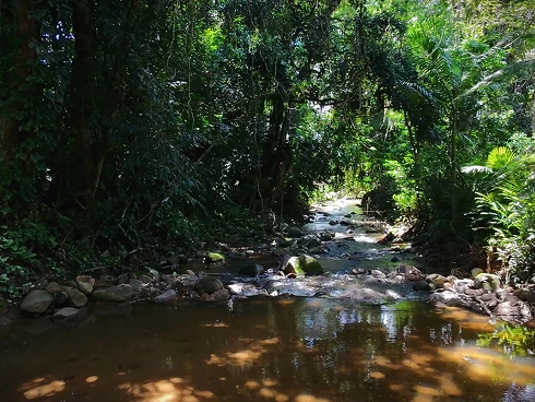Terreno em Vila Santana, Santo Amaro da Imperatriz