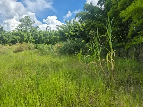 Terreno em Leitão, Louveira