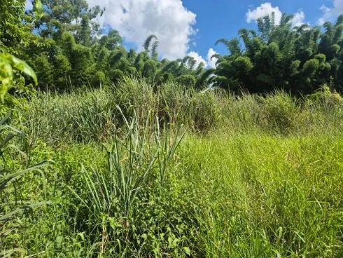 Terreno em Leitão, Louveira