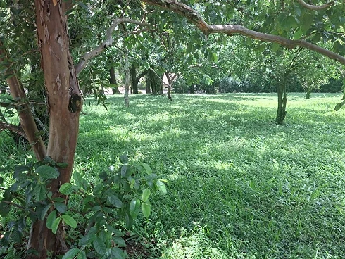 Terreno em Pinhal, Cabreúva