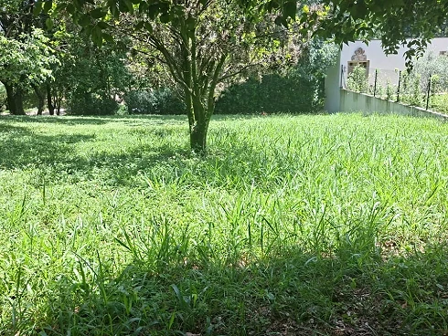 Terreno em Pinhal, Cabreúva