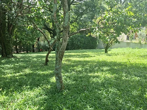 Terreno em Pinhal, Cabreúva