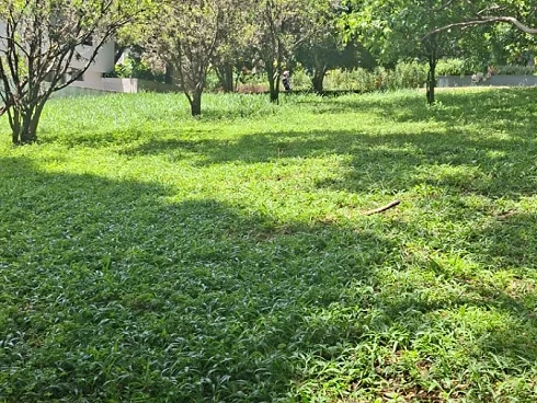 Terreno em Pinhal, Cabreúva