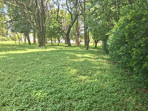 Terreno em Pinhal, Cabreúva