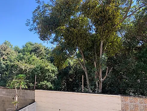 Casa em Condomínio 3 Quartos 110m² no Verdana - Medeiros - Foto 21