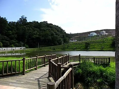 Thumbnail 27