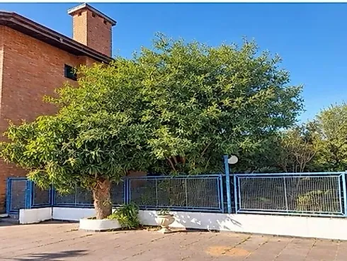 Casa 5 Quartos 1135m² com Piscina - Vila Isabel Eber - Foto 3