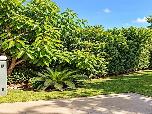 Chácara 1.200M² em Condomínio - Outeiro das Flores - Foto 29