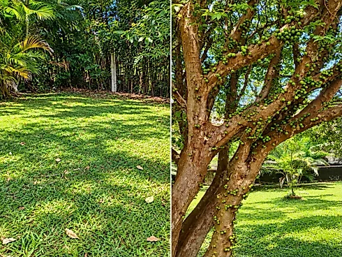 Casa em Condomínio 2 Quartos no Bosques do Corrupira - Foto 23