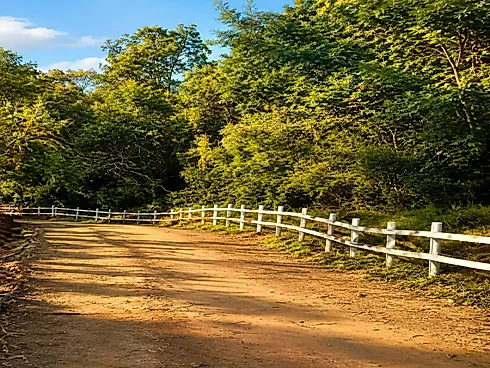 Sítio / Chácara para Venda em Itupeva / SP - Chácara em Aglomeração Urbana de Jundiai, Itupeva - Foto 4