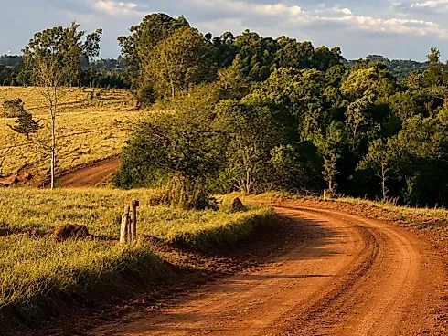 Sítio / Chácara para Venda em Itupeva / SP - Foto 6