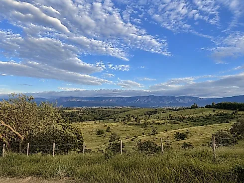 Sítio / Chácara para Venda em Itupeva / SP - Foto 8