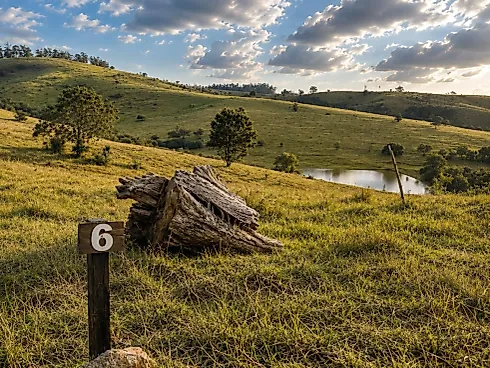Sítio / Chácara para Venda em Itupeva / SP - Foto 9