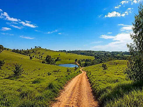 Sítio / Chácara para Venda em Itupeva / SP - Foto 10