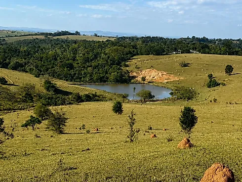 Sítio / Chácara para Venda em Itupeva / SP - Foto 11
