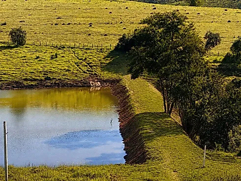 Sítio / Chácara para Venda em Itupeva / SP - Foto 14