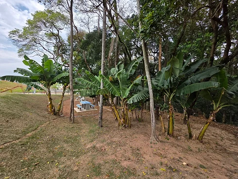 Terreno em Jardim Tarumã, Jundiaí