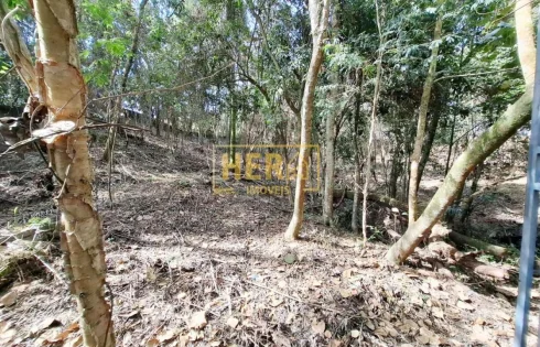 Castanho, Jundiaí