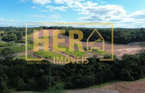 Thumbnail 13
