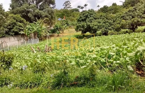 Chácara em Pinhal - Chacara Urbana