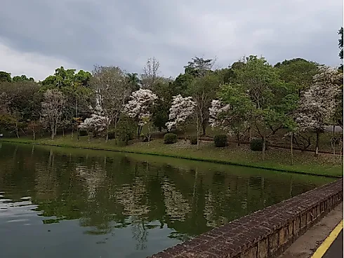 Terreno em Pinhal, Cabreúva