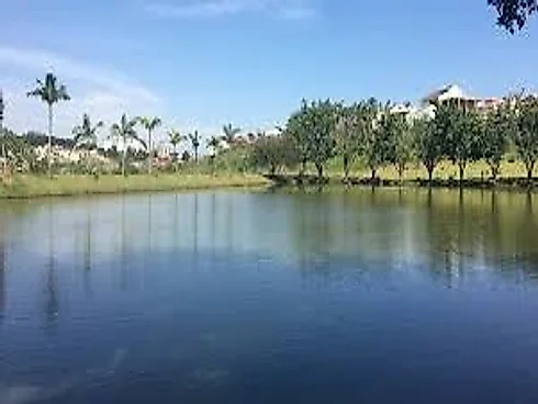 Thumbnail 21