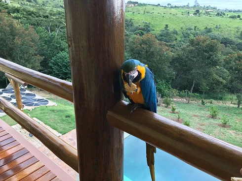 Casa em condomínio em Joaquim Egídio, Campinas