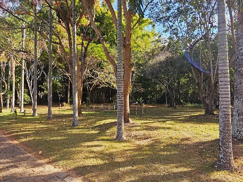 Chácara Á Venda em Sousas - Campinas/SP - Foto 13