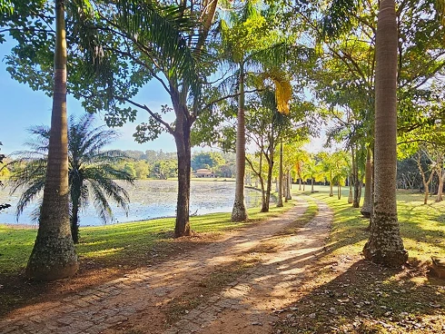 Chácara Á Venda em Sousas - Campinas/SP - Foto 17