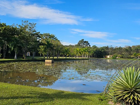 Chácara Á Venda em Sousas - Campinas/SP - Foto 39