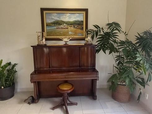 Casa dos Sonhos no Alphaville Campinas: Luxo, Conforto e Lazer em Cada Detalhe! - Foto 17