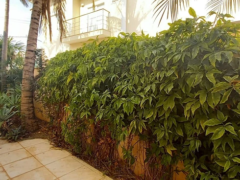 Casa dos Sonhos no Alphaville Campinas: Luxo, Conforto e Lazer em Cada Detalhe! - Foto 29