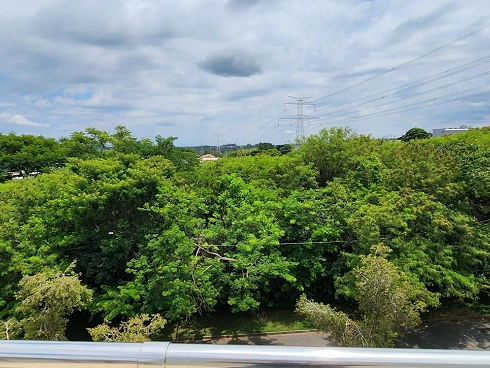 Parque das Quaresmeiras | 275m² Privativos | 3 Suítes | Mobiliada | Varanda Gourmet e 4 Vagas - Foto 4