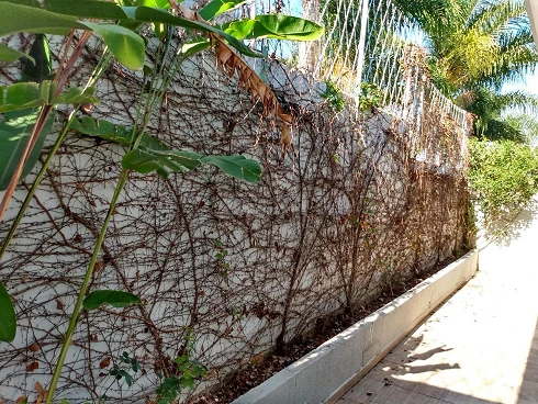 Casa em condomínio em Capuava, Valinhos