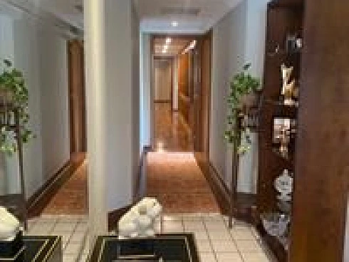 Apartamento em Cambuí, Campinas