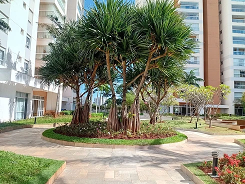 Apartamento com 3 Suítes Á Venda no Horizon Taquaral, Campinas/SP - Foto 33