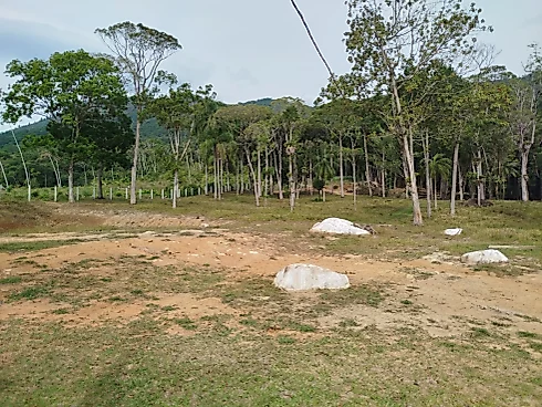 Sítio em Sul do Rio, Santo Amaro da Imperatriz