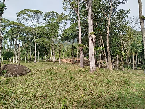 Sítio em Sul do Rio, Santo Amaro da Imperatriz