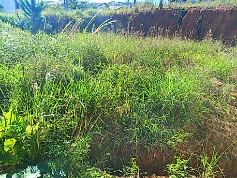 Excelente Oportunidade: Terreno Alto Aririú - Terreno em Alto Aririú, Palhoça - Foto 3