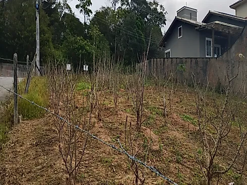 Terreno em São José - Terreno em Forquilhas, São José - Foto 2